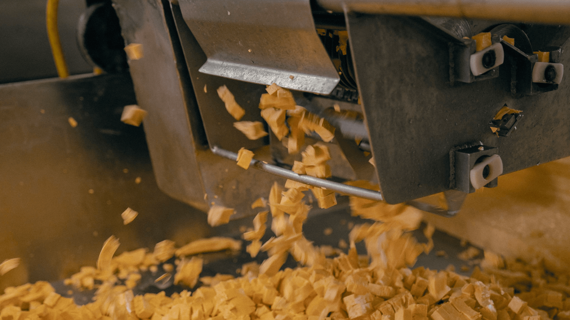 Photo of cheese curds being cut by machine.
